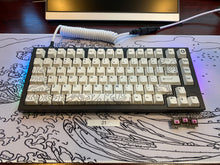 Load image into Gallery viewer, Z75 Elevate