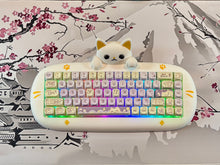 Load image into Gallery viewer, CAT 68 Taro
