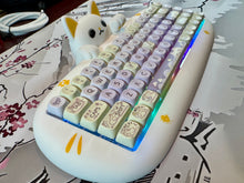 Load image into Gallery viewer, CAT 68 Taro
