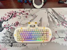 Load image into Gallery viewer, CAT 68 Taro
