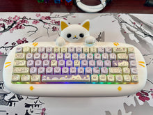 Load image into Gallery viewer, CAT 68 Taro
